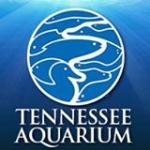 Tennessee Aquarium Coupons